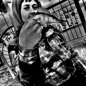 Profilbild