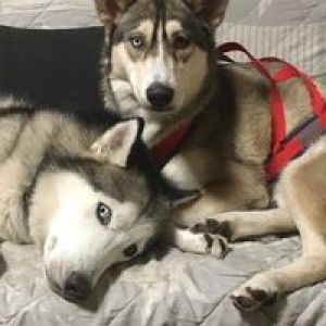 Forellenpark Quellental  ALLE ANGELN