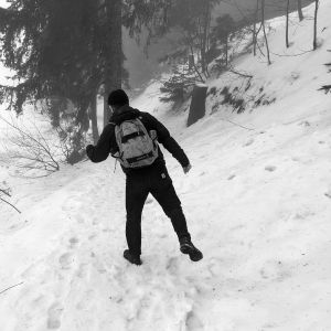 Profilbild