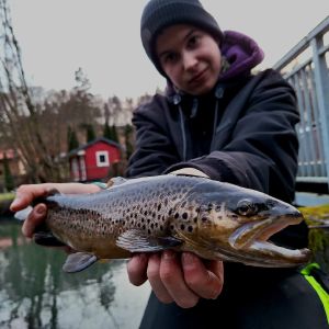 Profilbild