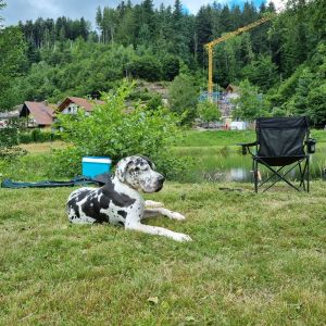 Profilbild