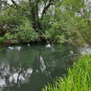 Forellenfarm Emsquellaue ALLE ANGELN