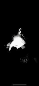 lennart 04