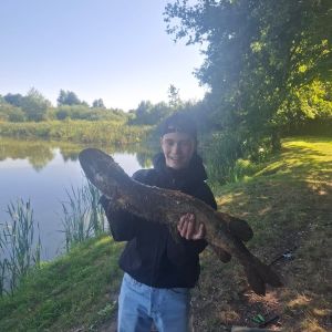 Profilbild