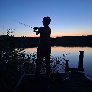 Profilbild
