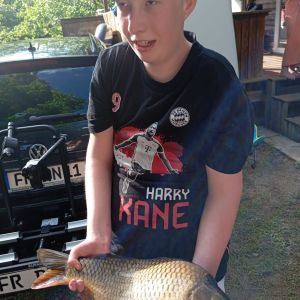 Profilbild