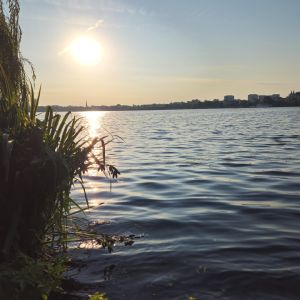 Profilbild