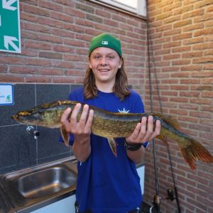 Profilbild