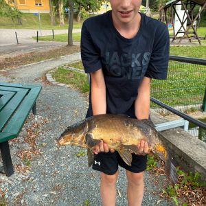 Profilbild