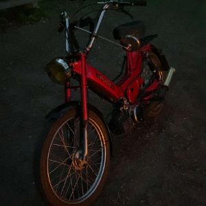 Profilbild
