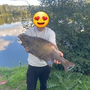 Profilbild