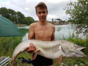Profilbild