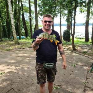 Profilbild