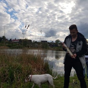 Profilbild