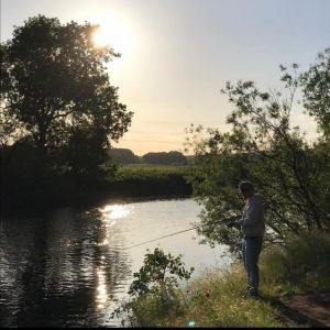 Profilbild