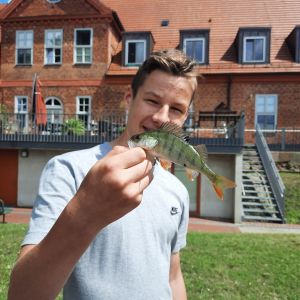 Profilbild