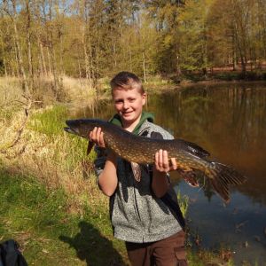 Profilbild