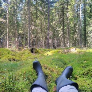 Profilbild