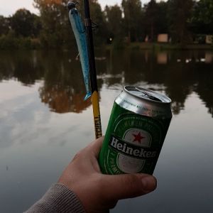 Profilbild