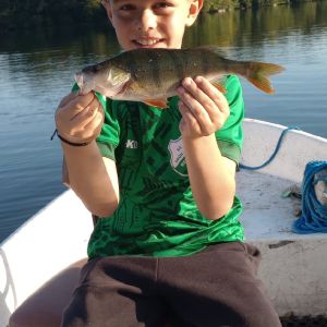 Profilbild