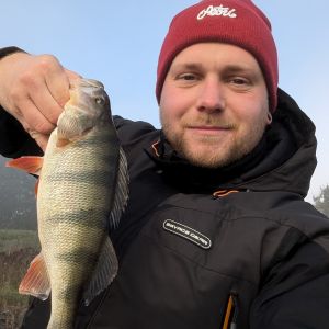 Profilbild