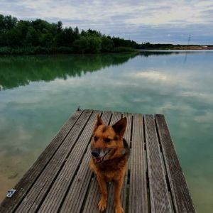 Carpfishing_Holli