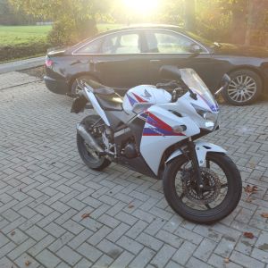 Profilbild