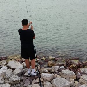 Profilbild