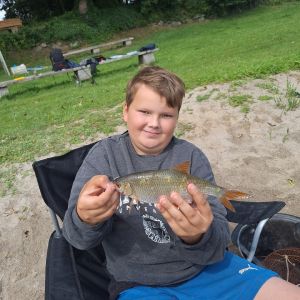 Profilbild