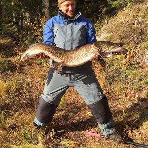 Profilbild