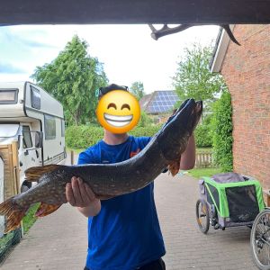 Profilbild