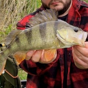 Allroundfishing_de