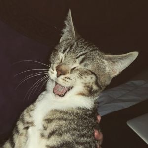 Profilbild