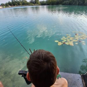 Profilbild