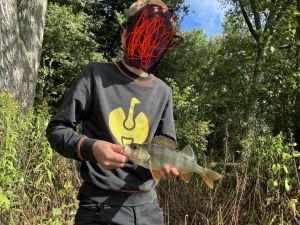 Profilbild