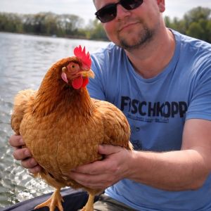Profilbild