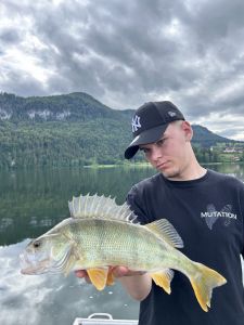 Profilbild