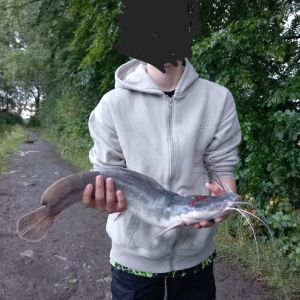 Profilbild