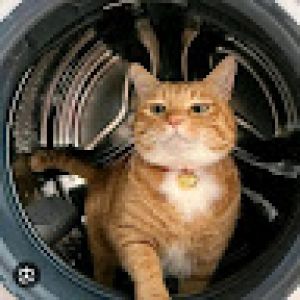 Profilbild