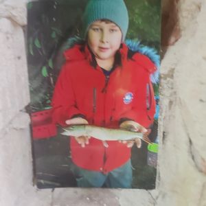 Profilbild