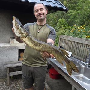 Profilbild
