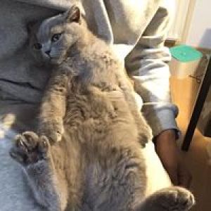 Profilbild