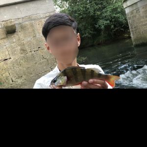 Profilbild
