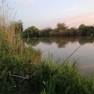 Reinheimer Teich ALLE ANGELN