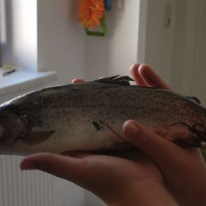 Profilbild