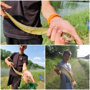 Fishingmasteryt