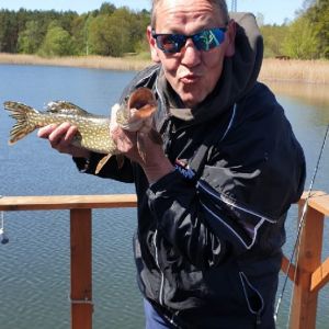 Profilbild