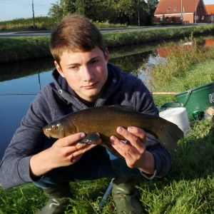 Profilbild
