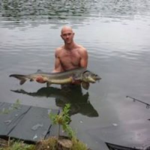 Profilbild