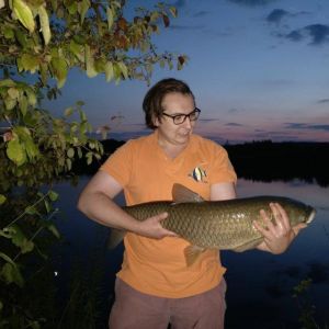 Profilbild